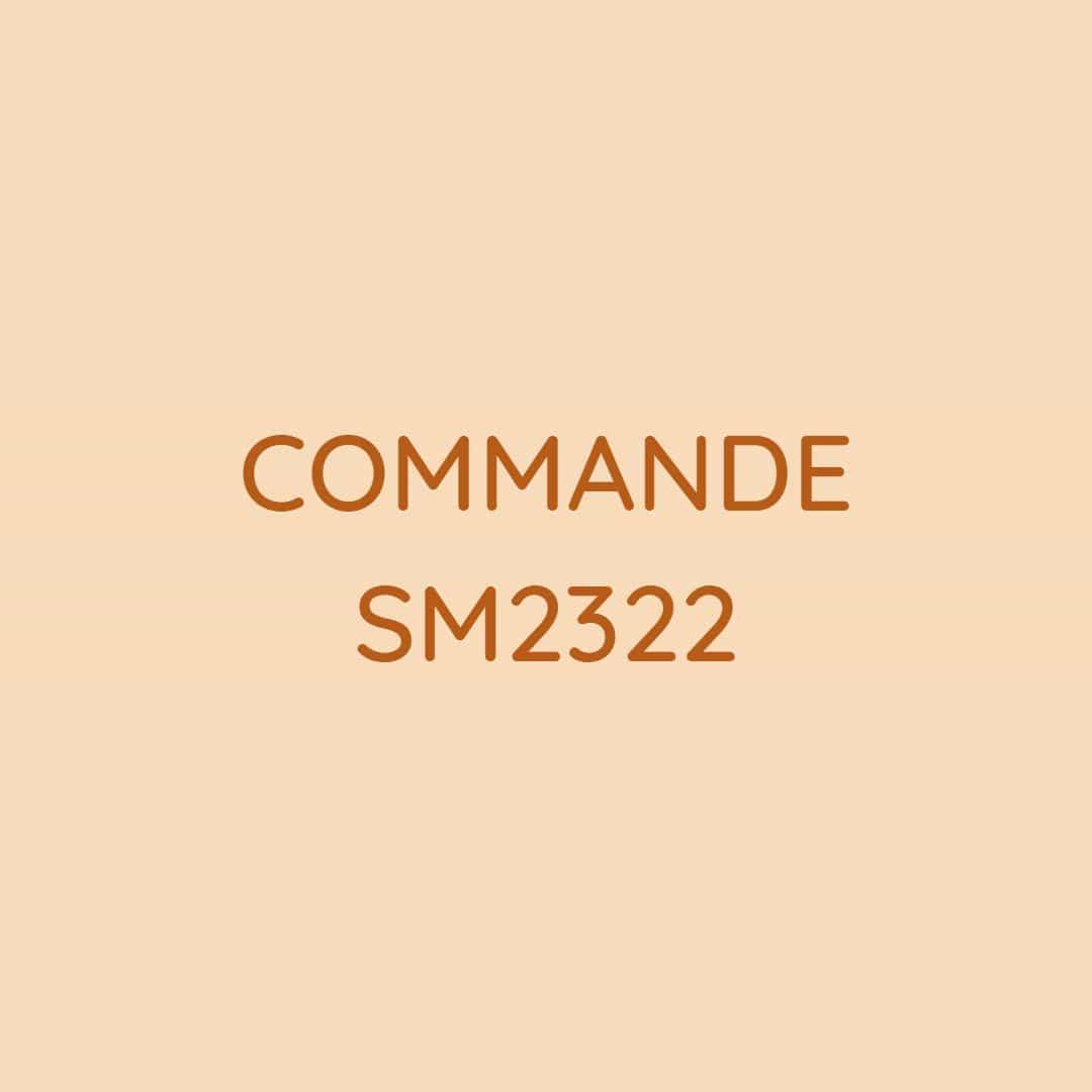 Sm2322 1 